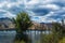 Wonderful green tree with dry trees in middle of the Potrerillos Lake