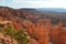 Wonderful Hodes Formations In Bryce Canyon. Geology. Travel.Nature.