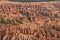 Wonderful Hodes Formations In Bryce Canyon. Geology. Travel.Nature.