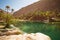 Wonderful lake and oasis with palm trees in the Omani desert and overwritten text