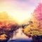 Wonderful landscape with autumn trees in forest, over the river