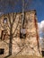 Wonderful landscape with ruins of an old manor house, trees in the old building, early spring