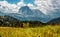 Wonderful landscape in Val Gardena on a sunny day. Scenic image of famous Sassolungo peak. Amazing nature background in dolomites