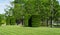 Wonderful landscape view with trimmed trees and formed shrubs, green lawn in city park `Krasnodar` or `Galitsky Park`