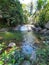 Wonderful Leopard Waterfall middle jungle