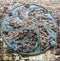 Wonderful Medieval Pattern on Circular Manhole Cover in old town, Gruyere, Fribourg, Switzerland, Europe