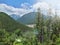 Wonderful mountain panorama seen from the natural reserve of Civitella alfedena, in Abruzzo, Italy.