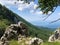 Wonderful panoramas of forests and pastures from the lookout in the Ucka Nature Park, Croatia / ÄŒudesne panorame na Å¡ume