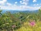Wonderful panoramas of forests and pastures from the lookout in the Ucka Nature Park, Croatia / ÄŒudesne panorame na Å¡ume