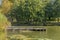 Wonderful picture of a lake with ducks with a wooden platform