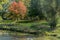 Wonderful picture of a pond with ducks with trees