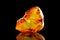 A wonderful piece of Baltic amber with an unusual prehistoric creature inside it.