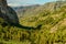 Wonderful Pine Forest Seen From Los Roques Viewpoint In Garajonay National Park In La Gomera. April 15, 2019. La Gomera, Santa