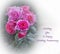 Wonderful Pink roses greetings card