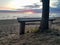 A wonderful place to stay. Wooden gray bench on a sandy beach near a tree overlooking the sea. Sunny day. Gulf of Finland