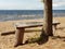 A wonderful place to stay. Wooden gray bench on a sandy beach near a tree overlooking the sea. Sunny day. Gulf of Finland