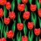 Wonderful. red tulips and amazing green leaves on a black background. Wonderful seamless pattern