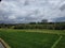 Wonderful Ricefield View