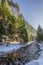 Wonderful river and frozen forest in Koscieliska valley in Tatras