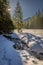 Wonderful river and frozen forest in Koscieliska valley in winter