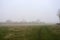 Wonderful rural landscape. Beautiful meadow on a foggy spring morning. Medium and tall trees are shrouded in fog.