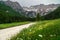 Wonderful rural landscape and meadows with flowers, Kamnik Alps, Slovenia