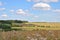 Wonderful rural summer landscape: bright blue sky, sunlit colorful field and forest