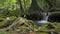 Wonderful scenery of small waterfall that flowing from the jungle through the green plants into the natural pond.