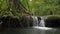 Wonderful scenery of small waterfall that flowing from the jungle through the lush foliage plants into the natural pond.