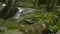 Wonderful scenery of water stream flowing from cascade over the rocks through green plant under sunlight in fertile forest.