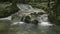 Wonderful scenery of water stream flowing from cascade over the rocks through green plant under sunlight in fertile forest.