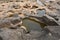 Wonderful shape of small ponds in the rock