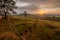 Wonderful shot of a sunset after a rain over green fields with random trees