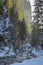 Wonderful snowy forest and river in Koscieliska valley in Tatras