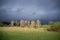 Wonderful spring landscape with birch trees illuminated by a bright beam of light against a dark rainy sky