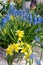 Wonderful spring still life with flowers in a wicker basket