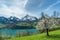 Wonderful springtime view of mountains and lake with blooming fruit tree