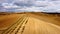 Wonderful Tuscan fields in autumn - beautiful Tuscany Italy