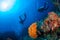Wonderful underwater world with scuba divers.