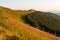 A wonderful view of the mountain slopes illuminated by the setting sun. Eastern Carpathians