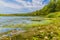 Wonderful view of the shore with moss and frog spawn from the river Maas