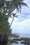 Wonderful view of tropical beach, Cahuita Park