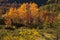 Wonderful view of wild autumn forest in Abruzzo, Prati di Tivo