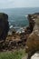 Wonderful Viewpoint And Geological Formation Of The Grotto Of The Mouth Of Hell In Cascais. Photograph of Street, Nature,