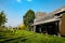 A wonderful vineyard with a wooden lodge during the sunny day