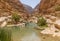 The wonderful Wadi Shab, Oman