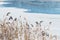 Wonderful white winter landscape with frozen lake, reeds and forest