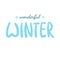 Wonderful Winter handlettering inscription. Hand drawn winter inspiration phrase.