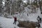 Wonderful winter landscape.The creek and trees are covered with snow