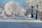 Wonderful winter landscapes, forests, fields, town ,details ...